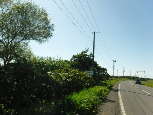 2017_0905_13541600.jpg