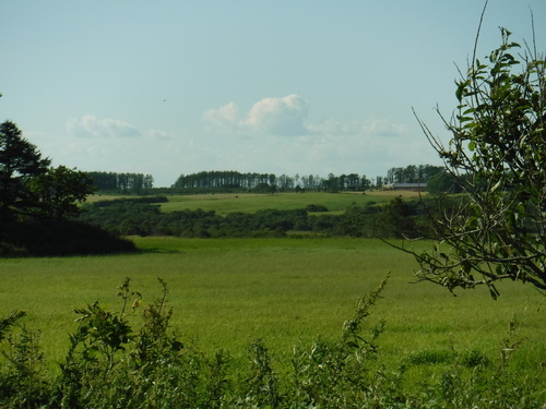 2017_0905_14050000.jpg