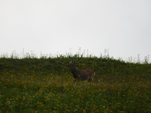 2017_0907_16523800.jpg