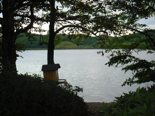 2017_0913_05312000.jpg