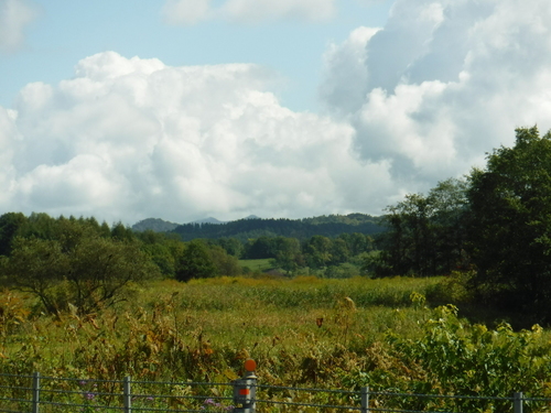 2017_0924_10484400.jpg