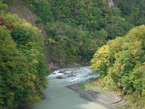 2017_0924_12453500.jpg