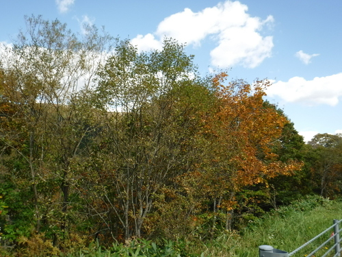 2017_0926_11564400.jpg
