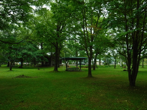 2018_0815_10484600.jpg
