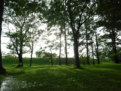 2018_0817_17064000.jpg