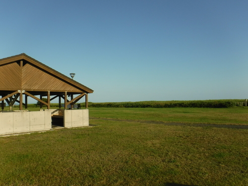 2018_0820_06063200.jpg