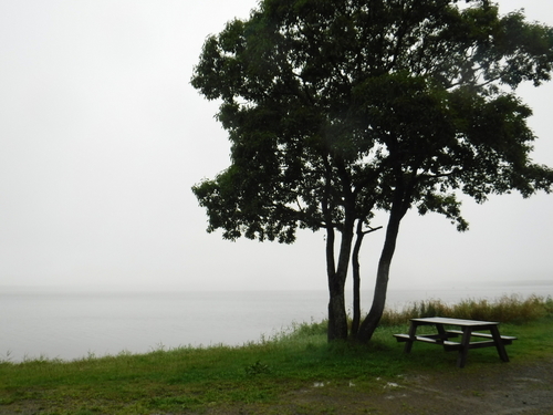 2018_0826_10063500.jpg