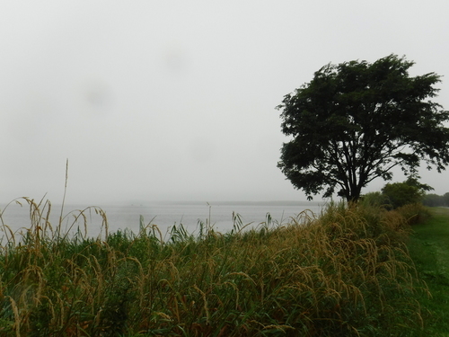 2018_0826_10071500.jpg