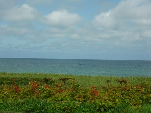 2018_0827_12595900.jpg