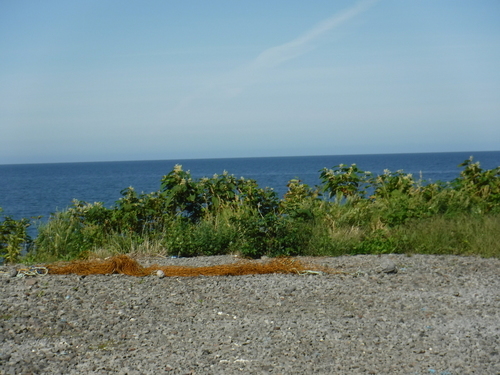 2018_0828_13544200.jpg