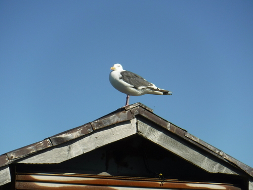 2018_0828_14260400.jpg