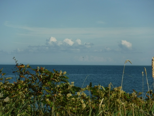 2018_0828_14380500.jpg