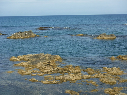 2018_0830_10261800.jpg