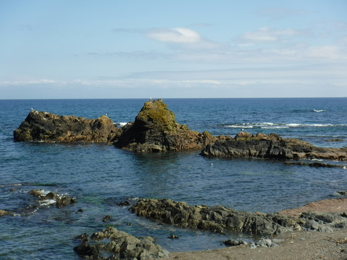 2018_0830_12355700.jpg