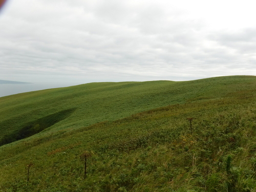 2018_0830_14293900.jpg