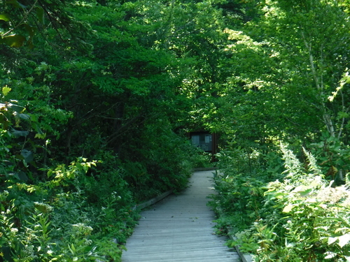2018_0902_09185300.jpg