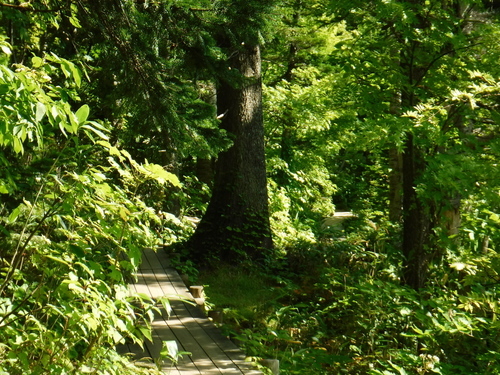 2018_0902_09301700.jpg