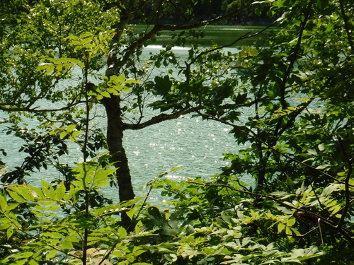 2018_0902_09303700.jpg