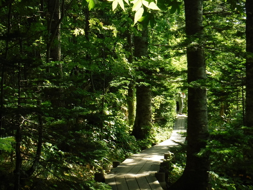 2018_0902_09323400.jpg