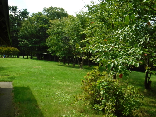 2018_0906_12292600.jpg