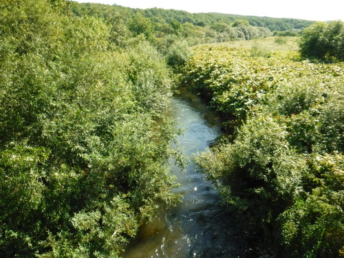 2018_0912_09435200.jpg