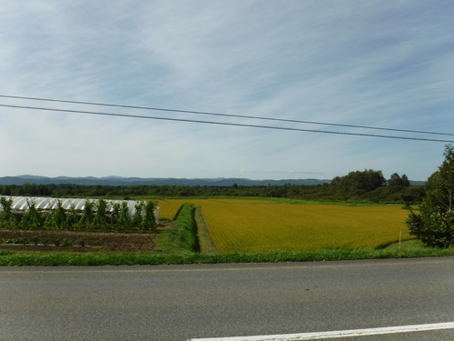 2018_0912_12172100.jpg