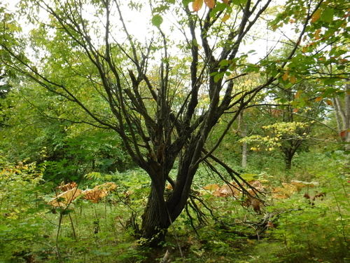 2018_0916_14174600.jpg