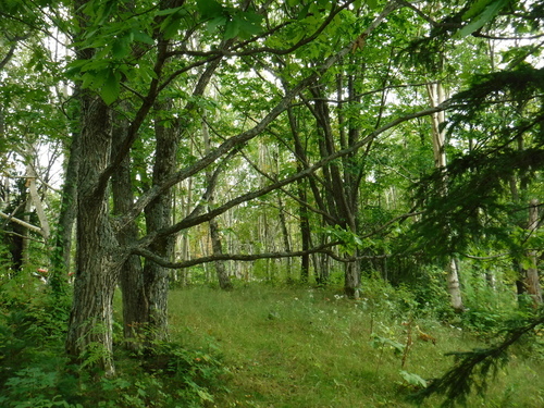 2018_0916_14191400.jpg