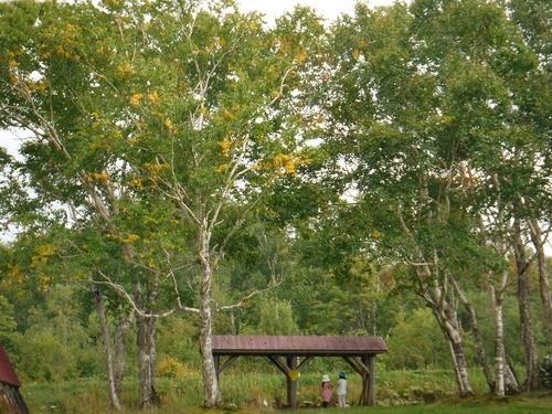 2018_0916_14231700.jpg