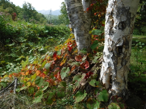 2018_0917_10202900.jpg