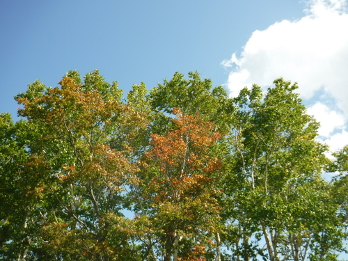 2018_0917_10490900.jpg