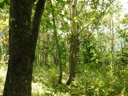2018_0917_11234700.jpg