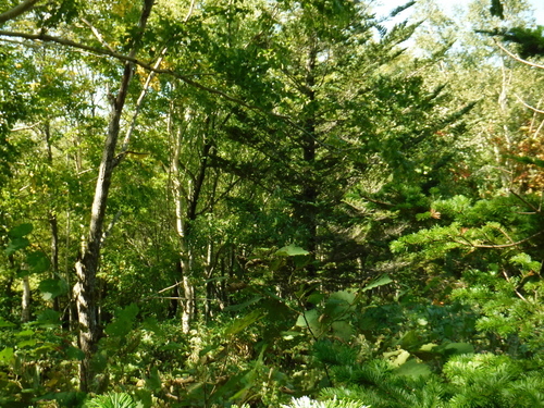 2018_0917_11245000.jpg