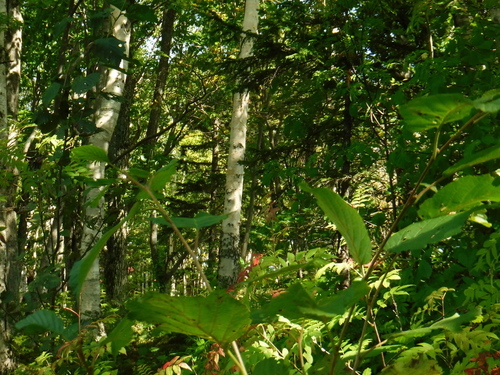 2018_0917_11253200.jpg