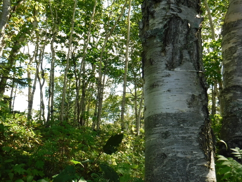 2018_0917_11254300.jpg