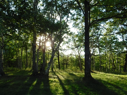 2018_0917_16513100.jpg