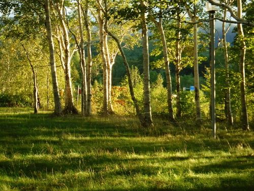 2018_0917_16543900.jpg