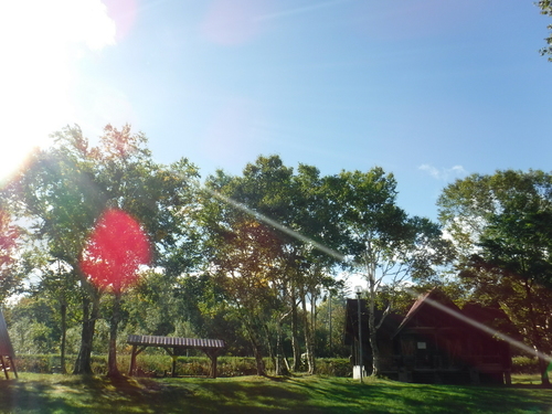 2018_0918_08135300.jpg