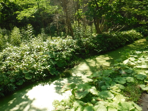 2019_0728_09004400.jpg