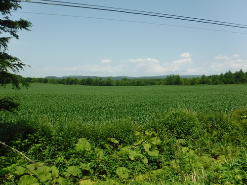 2019_0728_10472900.jpg