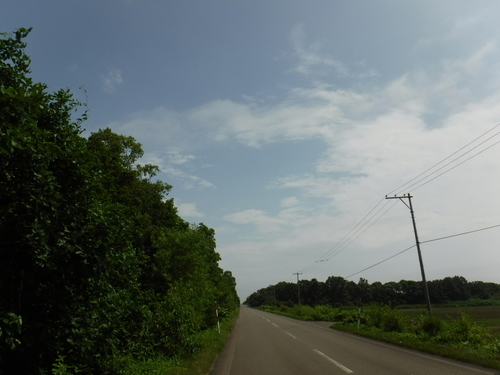 2019_0731_09561800.jpg