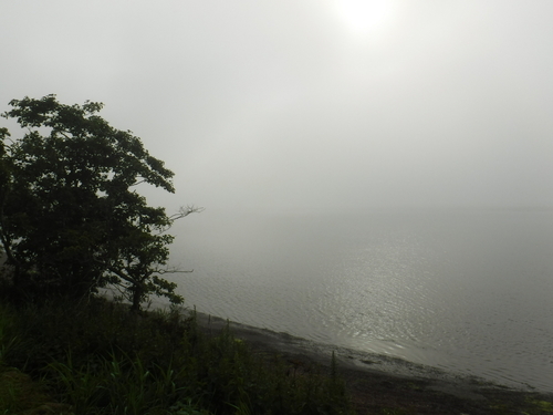 2019_0801_06280500.jpg