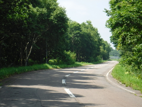 2019_0802_09575300.jpg