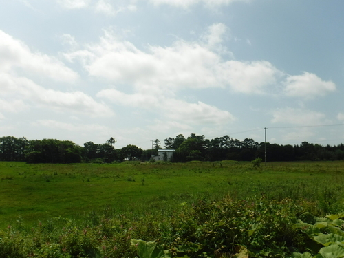 2019_0802_10054600.jpg