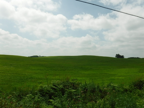 2019_0802_10264600.jpg