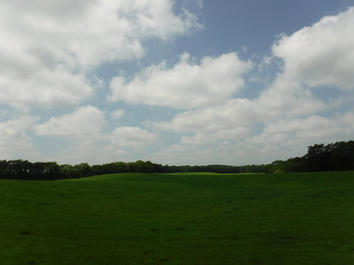2019_0802_10440900.jpg