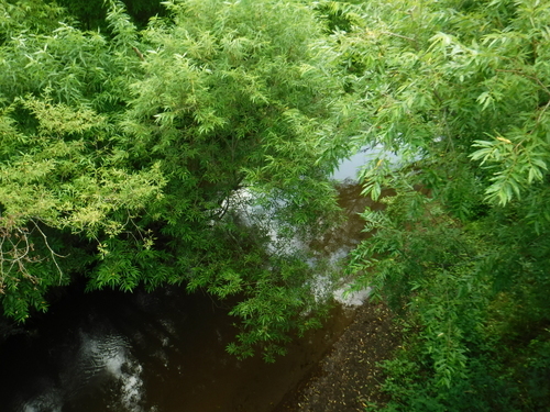 2019_0802_10470900.jpg