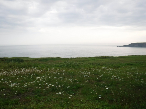 2019_0803_16360000.jpg