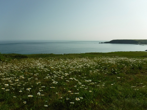 2019_0804_15420100.jpg