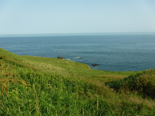 2019_0804_16235000.jpg